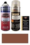 12.5 Oz. Cinnamon Metallic Spray Can Paint Kit for 2010 Ford Flex (HT)