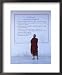 Monk Reading Burmese Wall Script, Shwedagon, Yangon (Rangoon), Myanmar (Burma), Asia Framed Framed Art Poster Print by Gavin Hellier, 18x22