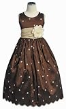 New Brown & Mocha Polka Dotted Dress ~ Wedding Flower Girl ~ Sz 2 to 12 Girls