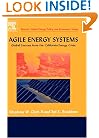 Agile Energy Systems: Global Lessons from the California Energy Crisis (Elsevier Global Energy Policy and Economics Series)