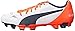 PUMA Men's evoPOWER 4.2 Firm-Ground Soccer Shoe