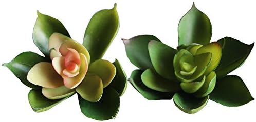 Neomark Set of 2 Home Garden Artificial Succulent Plants Unpotted (Multi Lotus)