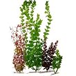 Tetra Water Wonders Plant Multi Pack#5