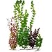 Tetra Water Wonders Plant Multi Pack#5