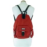 Red Tomato Mango Baggallini Downtown Bagg ~ Head downtown with everything at your fingertips!