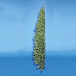 6.5' Winchester Artificial Corner Christmas Tree - Unlit