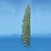 6.5' Winchester Artificial Corner Christmas Tree - Unlit