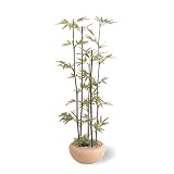 �y�l�H�A���z���|�A�����W 60cm