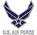 Custom U.S. Air Force chevron logo on mens hooded pullover sweatshirt
