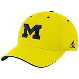adidas Michigan Wolverines Yellow Basic Logo Flex Fit Hat