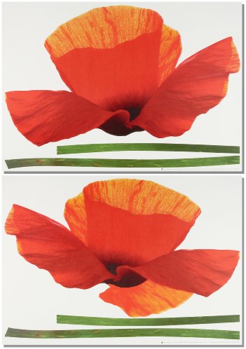 Eurographics DS-OBO1001-VP Poppies Decosticker wiederabl&ouml;sbar Wandtattoo 50 x 70 cm Preisvergleich