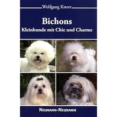 Bichons - Kleinhunde mit Chic und Charme