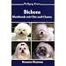 Bichons - Kleinhunde mit Chic und Charme