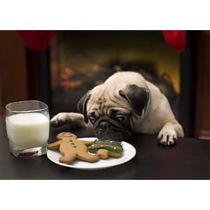 pug christmas card set