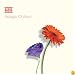 Adagio Chillout