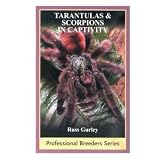 Tarantulas & Scorpions In Captivity