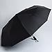 NIELLO Best Outdoor Umbrellas, Automatic 10-Rib Maximum Level of Windproof ,Steel Windproof Frame Rain Umbrella