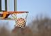 Wallmonkeys Peel and Stick Wall Decals - Basketball - Removable Graphic