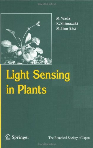 Light Sensing in Plants