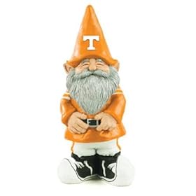 415hU5UswwL._SL500_AA280_.jpg