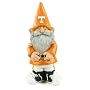 University of Tennessee Garden Gnome