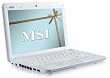 msi wind u100