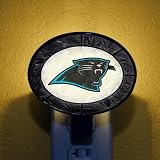Art-Glass Nightlight-Panthers