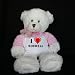 Search : Plush White Teddy Bear (Dena) toy with I Love Roswell