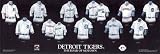 5X15 Mlb Detroit Tigers Plaque
