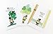 St Patrick's Day Assorted Card Pack - 16 St Patrick's Day Cards & Envelopes - Boxed Set of 5x7 Greeting Cards