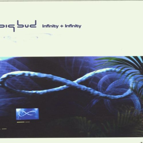 Big Bud - Infinity + Infinity - Zortam Music