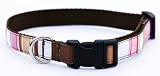 Small Brown/Multi Stripe Dog Collar: 5/8 wide, Adjusts 10-14.
