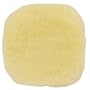 Porter-Cable 18007 6-Inch Lambs Wool Hook and Loop Polishing Pad