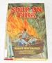 Soup on Fire