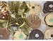 Chocolate Lovers Unite Homemade Cookie Gift Box