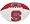 North Carolina State Wolfpack