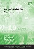 Organizational culture