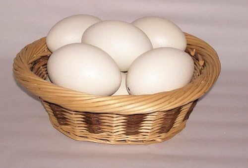 Painted Emu Eggshell