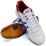 [�A�V�b�N�X]�J���`�F�b�gSL�S[TST305]