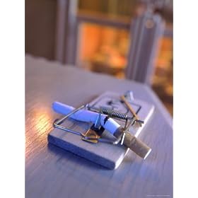 Broken Cigarette Caught in a Mouse Trap Photographic Poster Print by Henryk T. Kaiser, 18x24