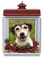 Special Dog Photo Holder 2009 Hallmark Ornament