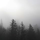 Lost In The Trees [7" VINYL]