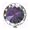 Purple/Silver