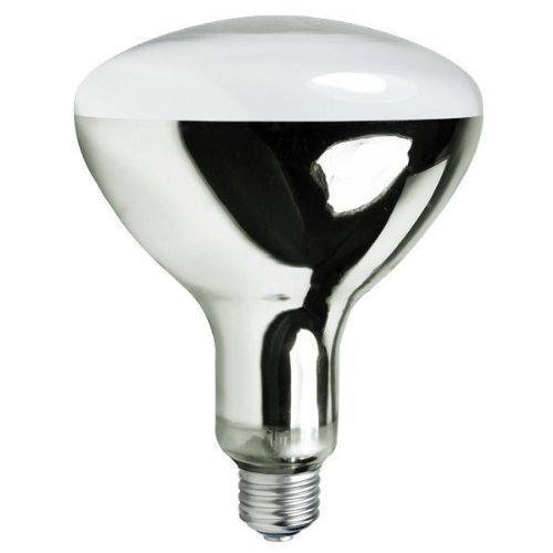 EYE 68192 - 160 Medium Base
