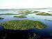 Aerial of Tampico Wetlands, Mexico Photographic Poster Print by Patricio Robles Gil, ...