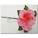 Surfs up Hibiscus Shower Curtain Hooks