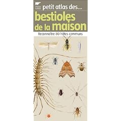 Petit atlas des bestioles de la maison : Reconna�tre 80 h�tes communs