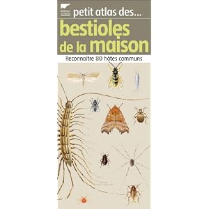 Petit atlas des bestioles de la maison