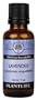 Lavender 100% Pure Essential Oil - 30 ml