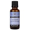 Lavender 100% Pure Essential Oil - 30 ml